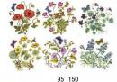 Botanical　　11030