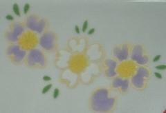 爛漫　桜　白とうす紫　　2コ