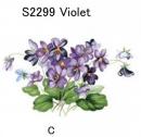 Violet