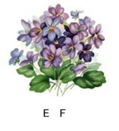 Violet