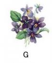 Violet