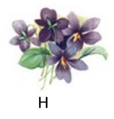 Violet