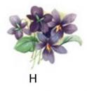 Violet