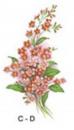 Forget Me Not Pink