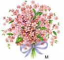 Forget Me Not Pink