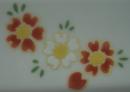 爛漫　桜　白と赤　2コ