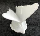 Butterfly　Card  Stand