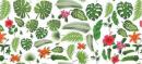 Tropical　SS　全柄 フルシート　　#6010