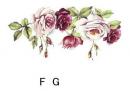 Rose Garden