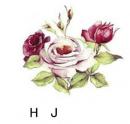 Rose Garden