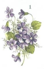 Violets 2V