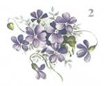 Violets. 2V