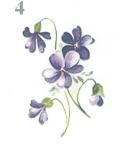 Violets　　2V