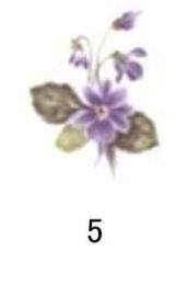 Violet  小花　10こ