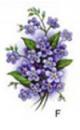 Forget Me Not Blue