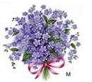Forget Me Not　Blue