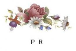 Summer Spray　P/R