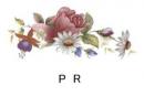 Summer Spray　P/R