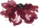Poppy flower　　D