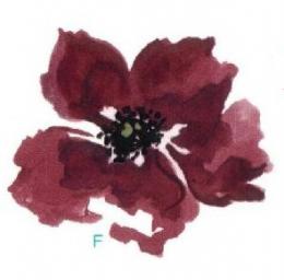 Poppy flower　　F