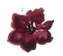 Poppy flower　J