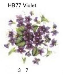 Violet　　HB77