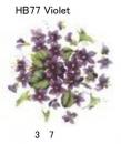 Violet　　HB77