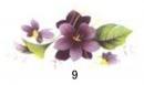 Violet　　HB77　