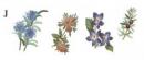 Kitchen  Garden  Herbs  4柄セット小花　 S2625
