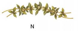 Kitchen  Garden  Herbs　　　リーフ