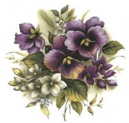 Summer Pansy　　6830