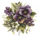 Summer Pansy　　6830