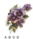 Summer Pansy　6830