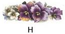 Summer Pansy　6830