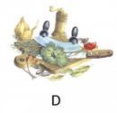 Kitchen  Garden  Herbs
