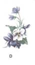 Violet　　4こ