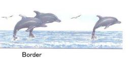 Dolphins