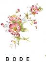 Rambling Rose　B/C/D/E