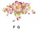 Rambling Rose　F/G