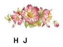 Rambling Rose　　H/J
