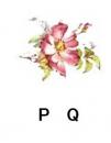 Rambling Rose　P/Q　小花