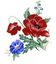JM　POPPYFIELD  ガラス用　　12358