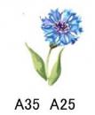 Floral　Corn Flower　矢車草