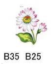 Floral　Daisy