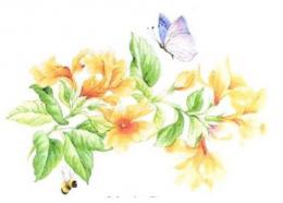 Flower & Insect　　MotiveB　　A57367