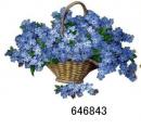 Forget-Me-Not  12334-646843