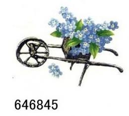 Forget-Me-Not   JM 12334　ー　646845