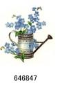 Forget-Me-Not   JM 12334