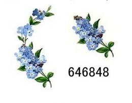 Forget-Me-Not　　12,334‐46848