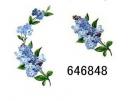 Forget-Me-Not　　12,334‐46848